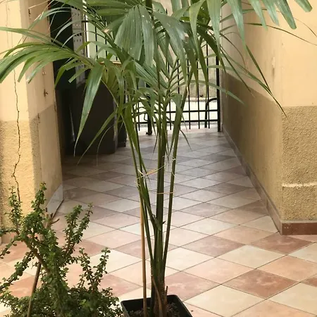 Apartmán Garden Carras